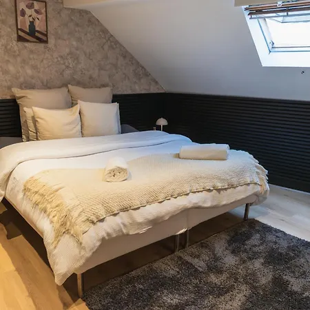 5br In The Heart Of For Groups 根特