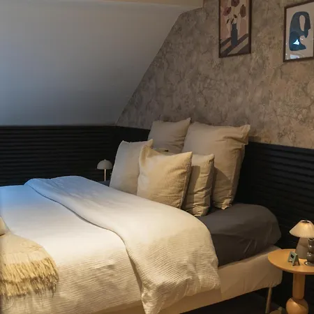 5br In The Heart Of For Groups 公寓 根特