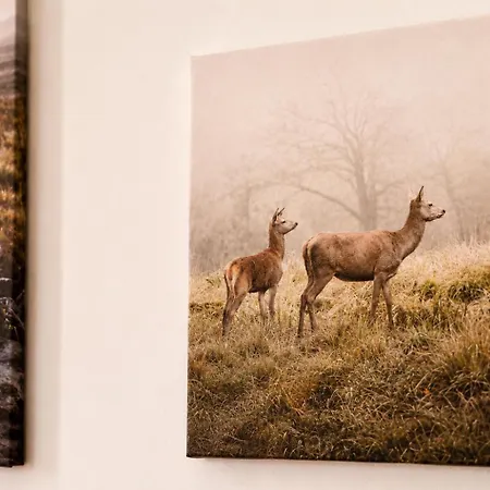 5br In The Heart Of For Groups Apartmán