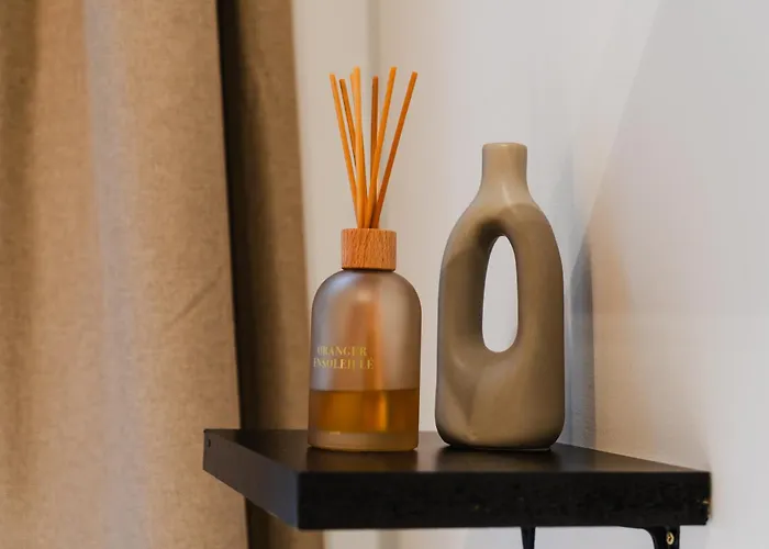 Apartamento 5br In The Heart Of For Groups Gante