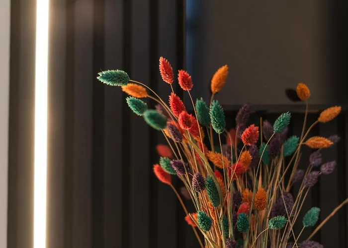 Apartamento 5br In The Heart Of For Groups *